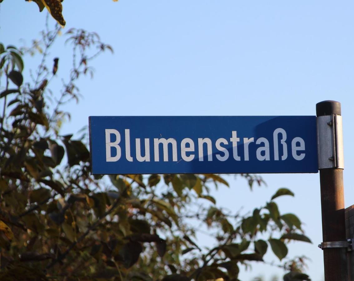 Apartment Auf Der Blumenstrasse